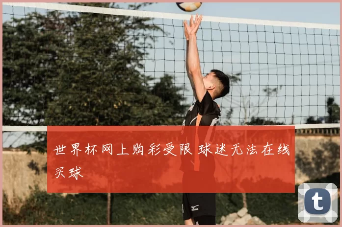 世界杯网上购彩受限 球迷无法在线买球