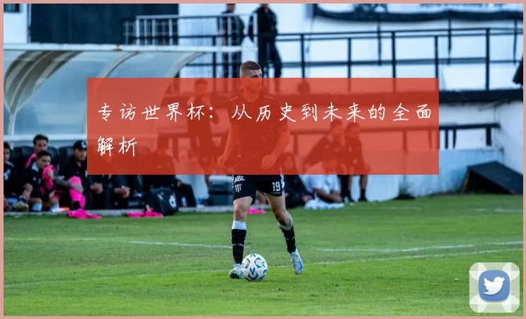专访世界杯:从历史到未来的全面解析