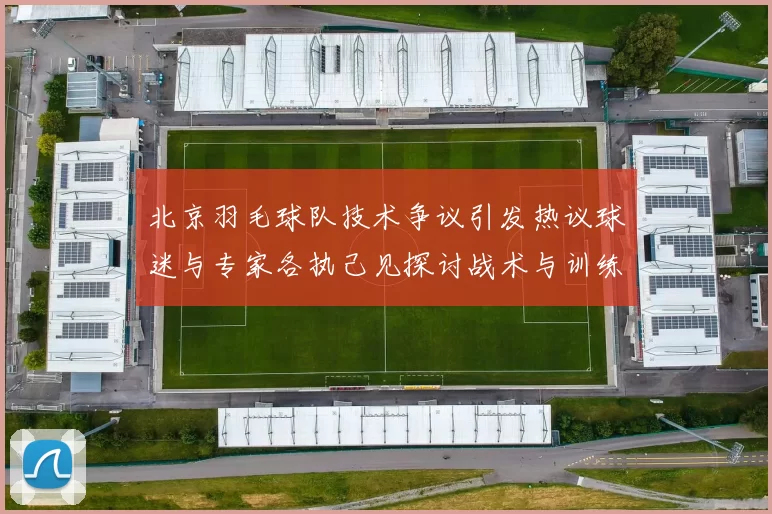北京羽毛球队技术争议引发热议球迷与专家各执己见探讨战术与训练问题