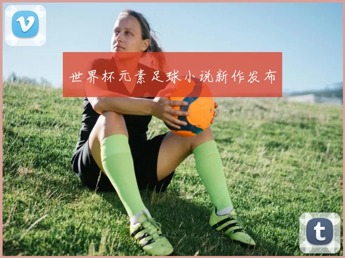 世界杯元素足球小说新作发布