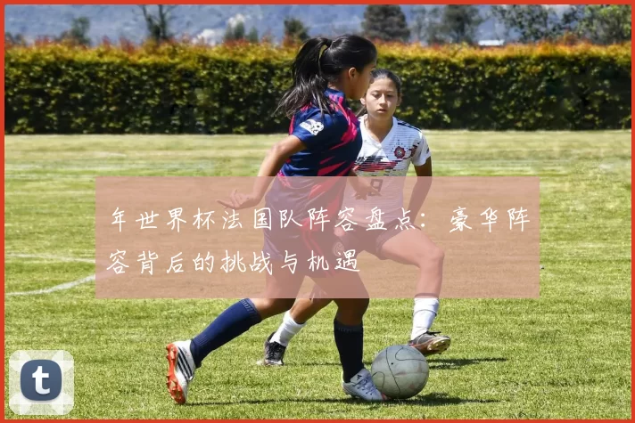 年世界杯法国队阵容盘点：豪华阵容背后的挑战与机遇
