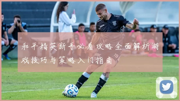 和平精英新手必看攻略全面解析游戏技巧与策略入门指南